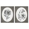 Stupell Industries Elegant Flower Spig Vignettes 2pc Canvas Set By Lettered and Lined